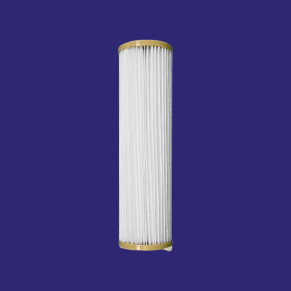10 inch Polyester pleated Filter housing insert (PPL10)