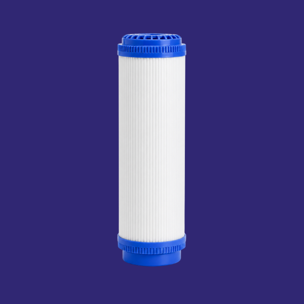 10 inch GAC Filter Insert (GAC10E) 10 pack
